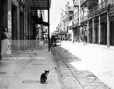 EARLY 1900s CAT SITTING STREET OLDER SECTION OF NEW ORLEANS LOUISIANA