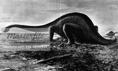 DRAWING OF GIGANOTOSAURUS BY A. FORESTIER DINOSAUR REPTILE QUADRUPED GREAT LIZARD OF TENDAGOROO MEZOSOIC