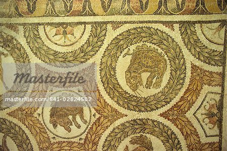 Mosaïques au Musée du Bardo, Tunis, Tunisie, Afrique du Nord, Afrique Mosaïques au Musée du Bardo, Tunis, Tunisie, Afrique du Nord, Afrique