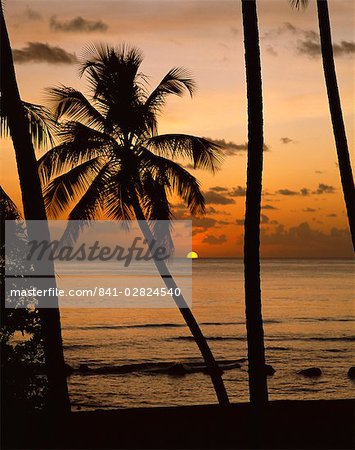 Strand bei Sonnenuntergang, Barbados, Antillen, Karibik, Mittelamerika