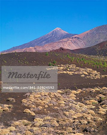 Mount Teide, Tenerife, Canary Islands, Spain, Atlantic, Europe