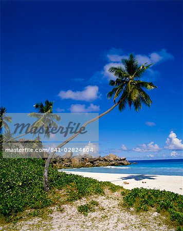 Beach, Grand Anse, La Digue Island, Seychelles Beach, Grand Anse, La Digue Island, Seychelles