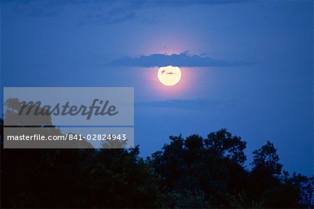 Moon, Kenya, East Africa, Africa