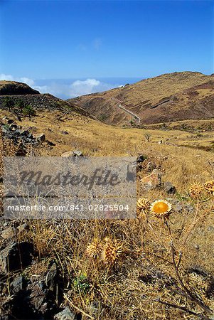 Bereich zwischen Alajero und Erquito, La Gomera, Kanarische Inseln, Spanien, Europa