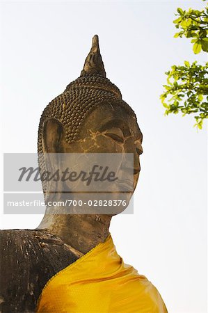 Buddha Statue, Mahathat Temple, Ayutthaya Historical Park, Ayutthaya, Thailand