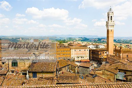 Piazza Del Campo, Siena, Siena Province, Tuscany, Italy