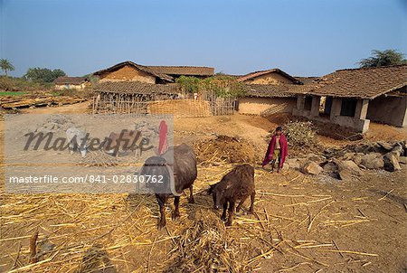 Dorf Leben, Dhariyawad, Rajasthan Zustand, Indien, Asien