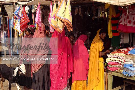 Women shopping, Dhariyawad, Rajasthan state, India, Asia