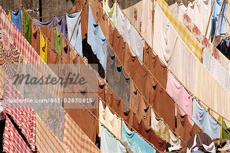 Dhobi or laundry ghats, Mumbai (Bombay), India, Asia