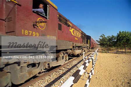 Freight train, Rajasthan state, India, Asia