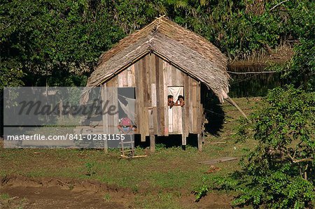 Personnes agitant de leur maison au toit de chaume de palmier sur le bord de l'eau, les Caboclos, dans les détroits de Breves dans la région amazonienne du Brésil, Amérique du Sud