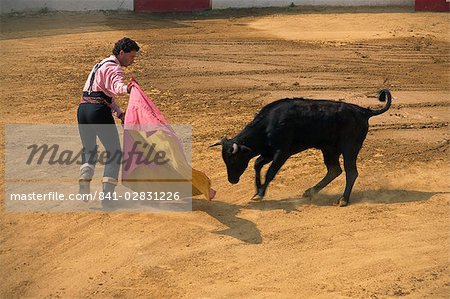 Bullfight demonstration, Andalucia, Spain, Europe