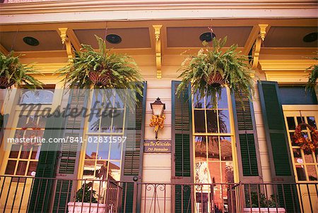 Ferns in hanging baskets and reflections in windows in New Orleans, Louisiana, United States of America, North America