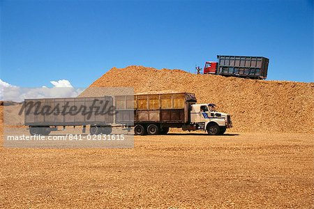 Camions et remorques dans les stocks de copeaux de bois au port en attente d'exportation à Puerto Montt dans la région des lacs du Chili, Amérique du Sud
