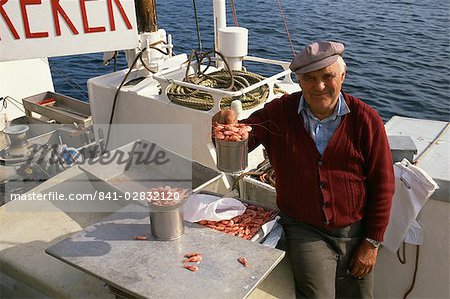 Vendeur de crevettes sur son bateau dans le port, Kristiansund (Norvège), la Scandinavie, l'Europe