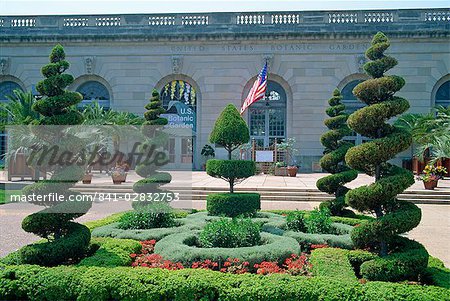 Topiary in the United States Botanic Gardens in Washington D.C., United States of America, North America