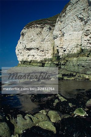 Limestone cliffs, Thornwick Bay, Humberside, England, United Kingdom, Europe