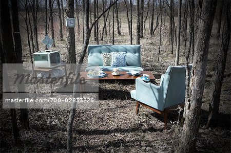 Vintage Living Room Furniture in a Forest