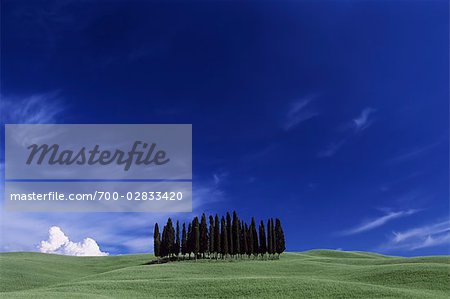 Val d'Orcia, Toscane, Italie