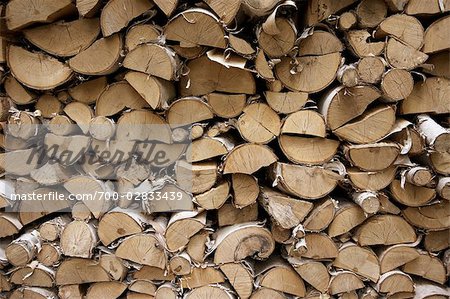 Chopped Wood, Ontario, Canada