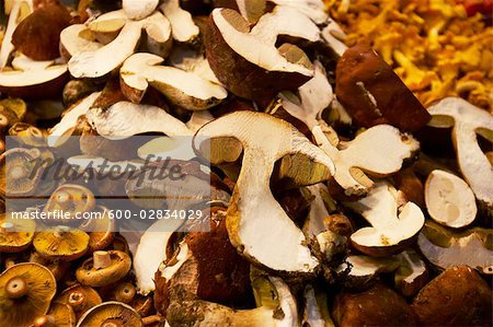 Mushrooms at Farmer's Market, Spain