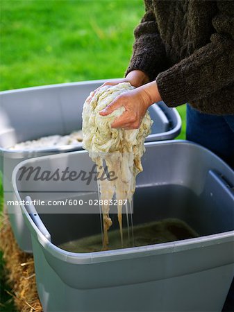 Woman Washing Raw Wool