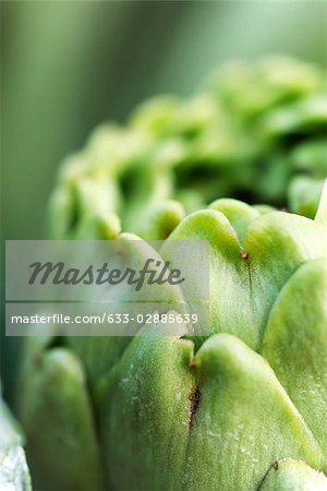 Artichoke, extreme close-up