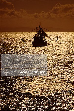 Bateau de pêche en mer, le coucher de soleil Silhouette