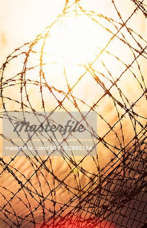 Barbed Wire Fence, Sunset