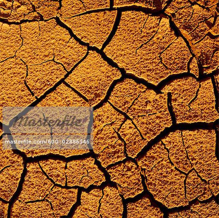 Dry Cracked Red Earth