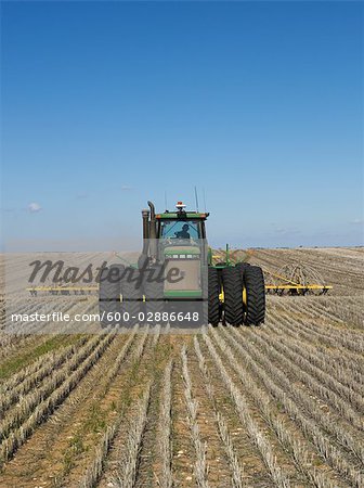 Blé, ensemencement, tracteur tirant Seed Drill, Australie