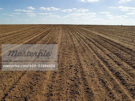 Gepflügte Feld bereit für Weizen säen, Australien