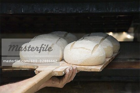 Plaçant des miches de pain au levain dans le four de boulanger