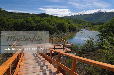 Viewing Platform, Tierra del Fuego National Park, Near Ushuaia, Argentina