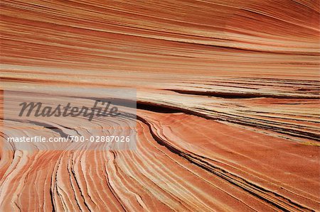 Sandstone Wave, Paria Canyon, Vermillion Cliffs Wilderness, Arizona, USA