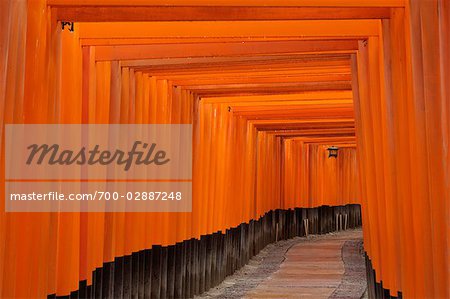 Portes Torii, Fushimi Inari Taisha, Fushimi, Kyoto, préfecture de Kyōto, Kansai, Honshu, Japon