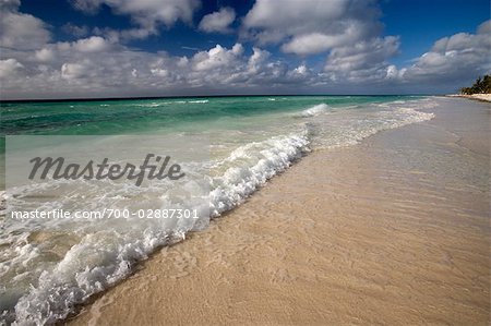 Plage sur l'île de Grand Bahama, aux Bahamas