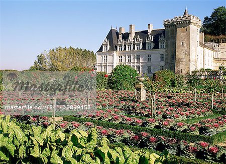 Chateau and gardens, Villandry, Touraine, Centre, France, Europe