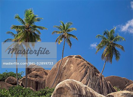 Boulders and palm trees, The Baths, Virgin Gorda, British Virgin Islands, West Indies, Central America