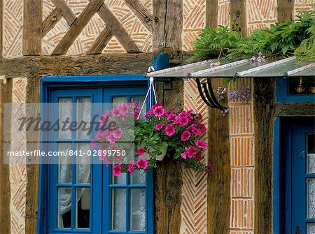 Accrocher le panier des pétunias sur maison traditionnelle de briques et de bois, Normandie, France, Europe