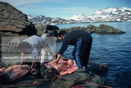 Butchering a seal, Ammassalik, East Greenland, Greenland, Polar Regions