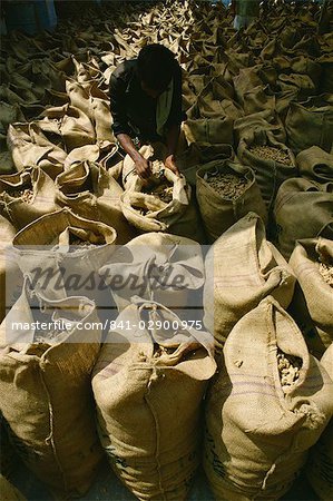 Hessian bags full of stem ginger, Cochin, Kerala state, India, Asia