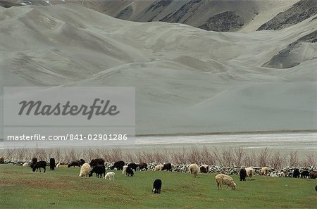 Scenery by the Karakoram Highway, Xinjiang, China, Asia