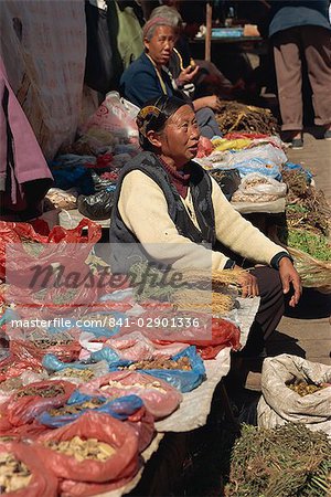 Miao woman selling herbal medicines at market, Guizhou, China, Asia