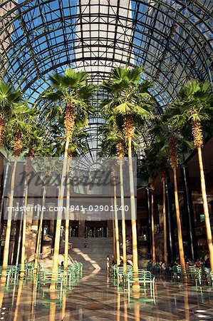 Palm trees in the Winter Garden atrium, part of the World Financial Centre, pre 11 September, Manhattan, New York City, United States of America, North America