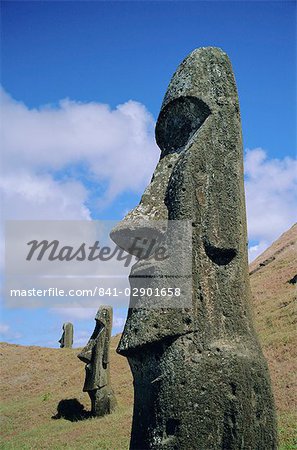 Têtes non fini extérieur sud des pentes du cratère, Rano Raraku, île de Pâques, Chili Têtes non fini extérieur sud des pentes du cratère, Rano Raraku, île de Pâques, Chili