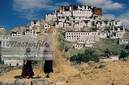 Récolte ci-dessous Thikse Gompa (monastère de Tikse), Ladakh, Inde, Asie