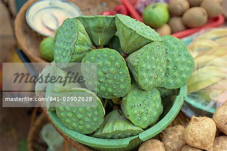 Lotus zu verkaufen, Indochina, Kambodscha, Asien, Südostasien