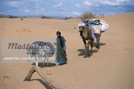 Der Camel-Mann führende Esel und zwei Kamele auf Wüste Trek, Draa-Tal, Marokko, Nordafrika, Afrika