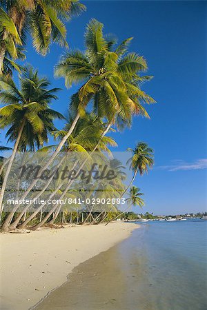 Palmen und Strand, Pigeon Point, Tobago, Trinidad und Tobago, Karibik, Caribbean, Central America